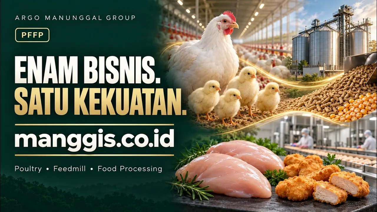 Manggis Group story video