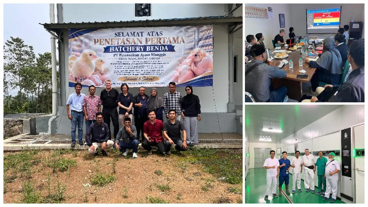 Aviagen Bekali Tim Hatchery Benda untuk Tingkatkan Kualitas DOC